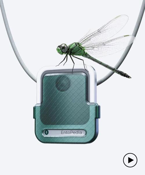 Rovarok digitális megörökítése – fogás nélkül!