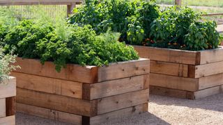 Kertágy ötletek: Tedd varázslatossá a tavaszi kerted!