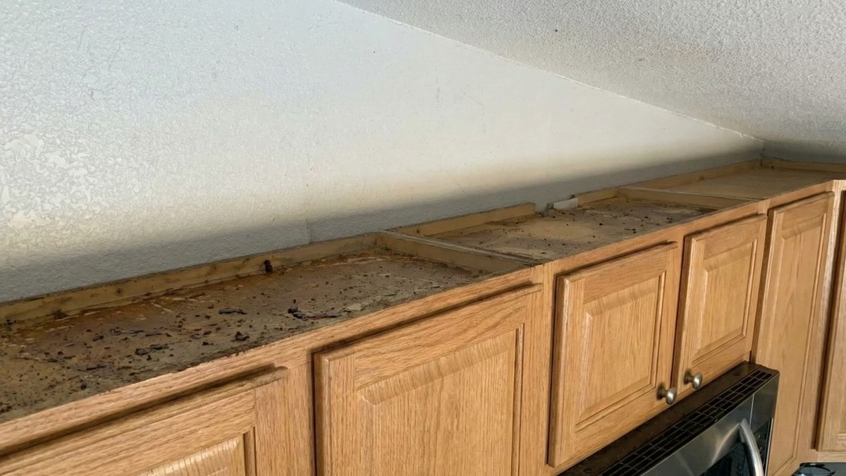 Tavaszi Kültéri Dekorációk: Frissítsd fel Teraszod 2026-ban!