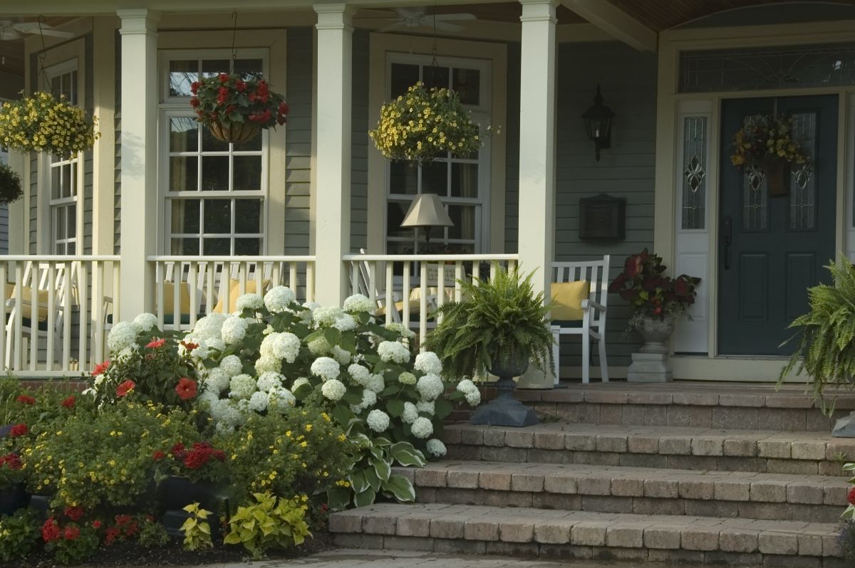 Ecetet fújtam a teraszra, és ez történt!