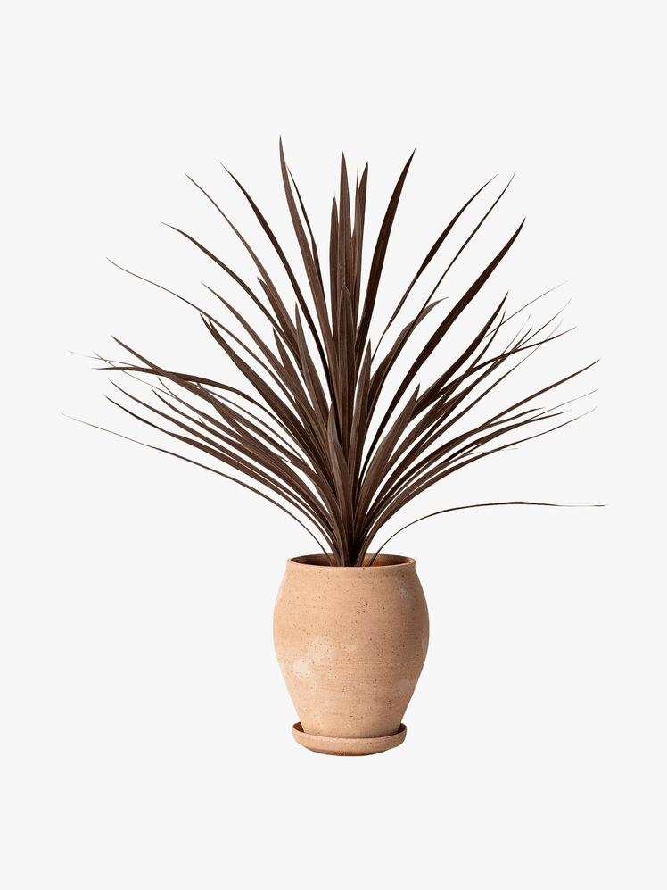 Kertvarázslat: 7 lenyűgöző kültéri virágtartó!