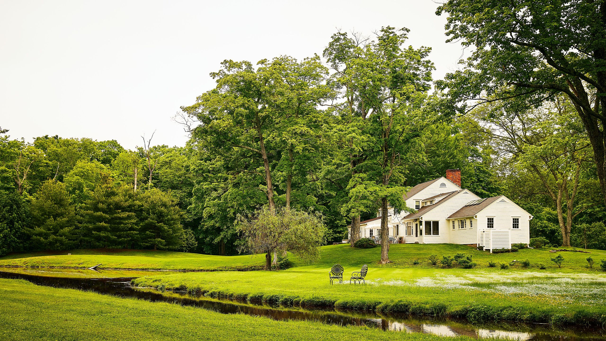 No Mow May: Mikor érdemes füvet nyírni? Szakértők válaszolnak!
