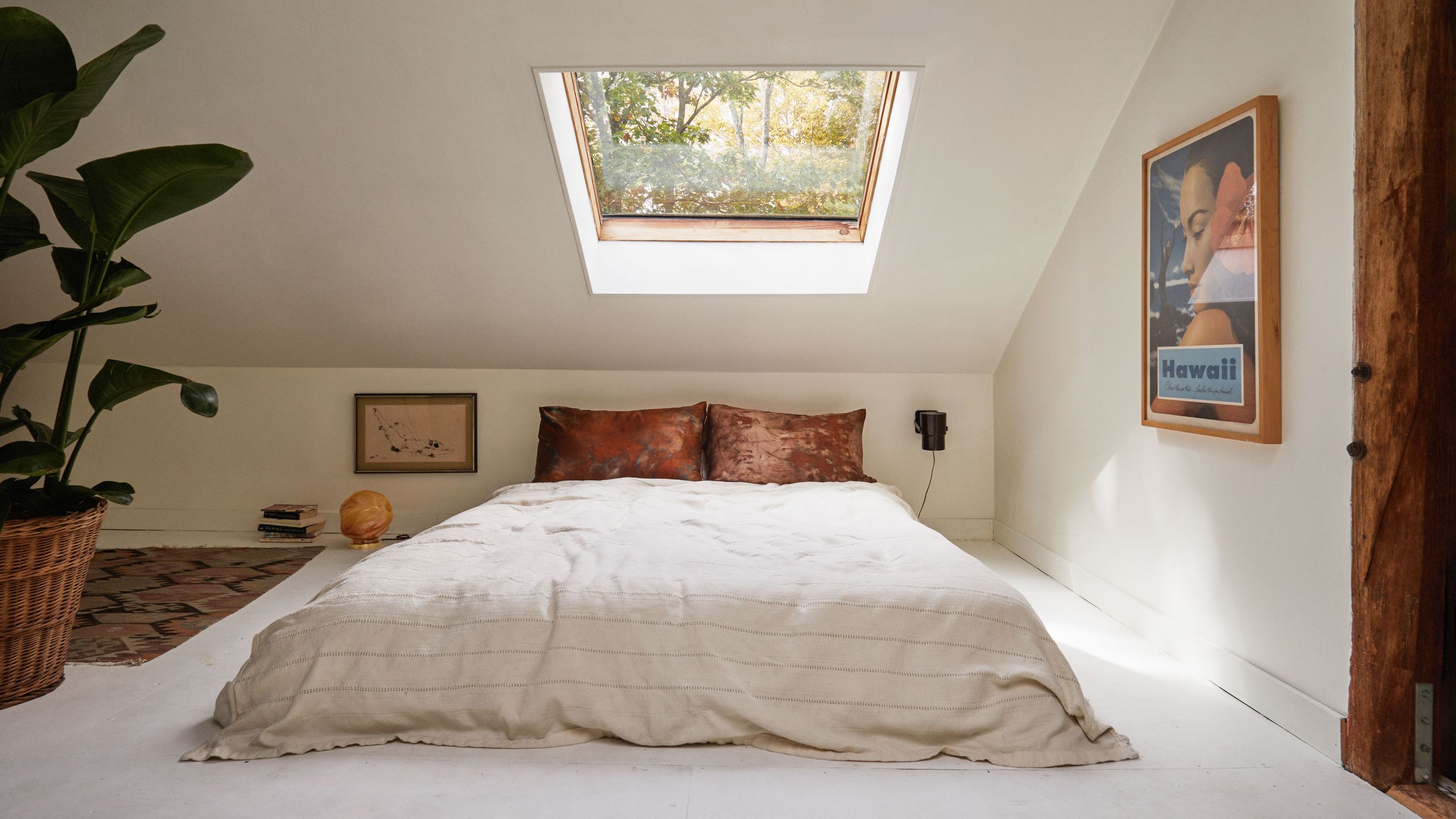 A Legjobb Pamut Ágyneműk: Klasszikus Kényelem 2026-ból!