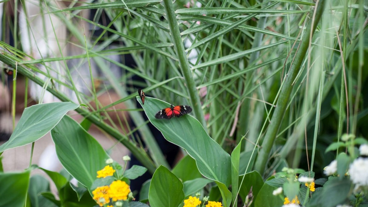 Színes, mintás szobák: 2026 designszabályait megdöntve!