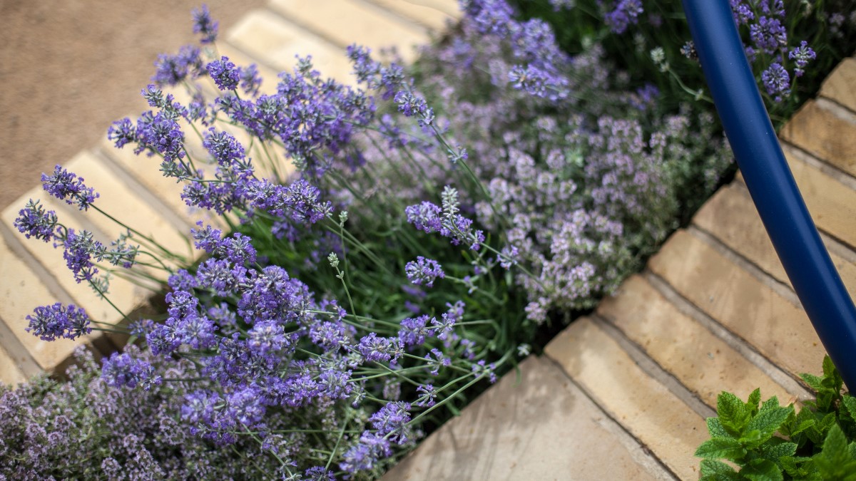 Kávézacc a fürdőszobában: reggelre megváltozott a levegő!