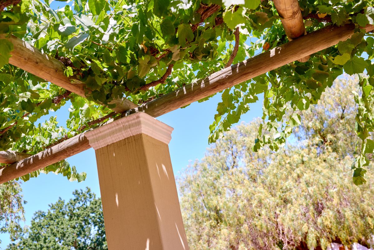 Régi raklapból varázsolták el a függőleges fűszerkert!