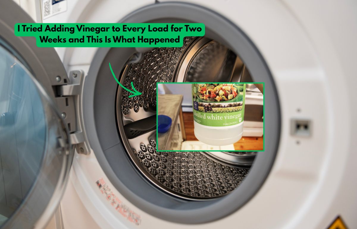 Mosogatás előtt nem öblítem a tányérokat – ez történt!