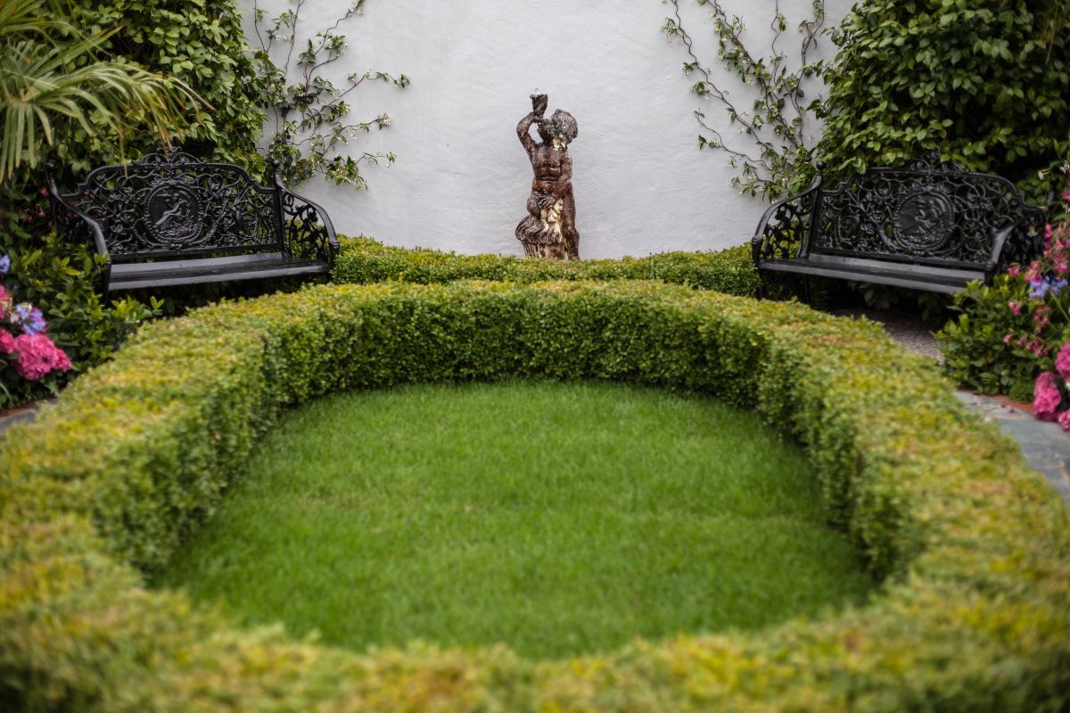 Rovarriasztó növények: 7 hátsó kertből 2026-ra!