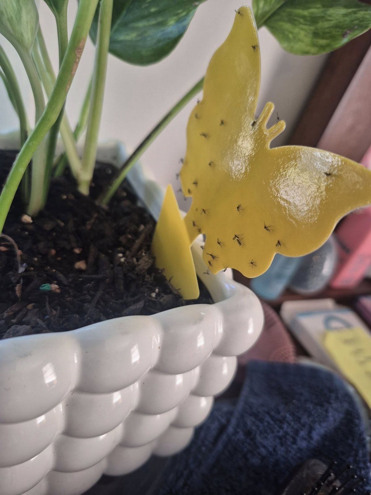 Süllyesztett Tűzrakóhelyek 2026-ra: Vendégeid Imádni Fogják!