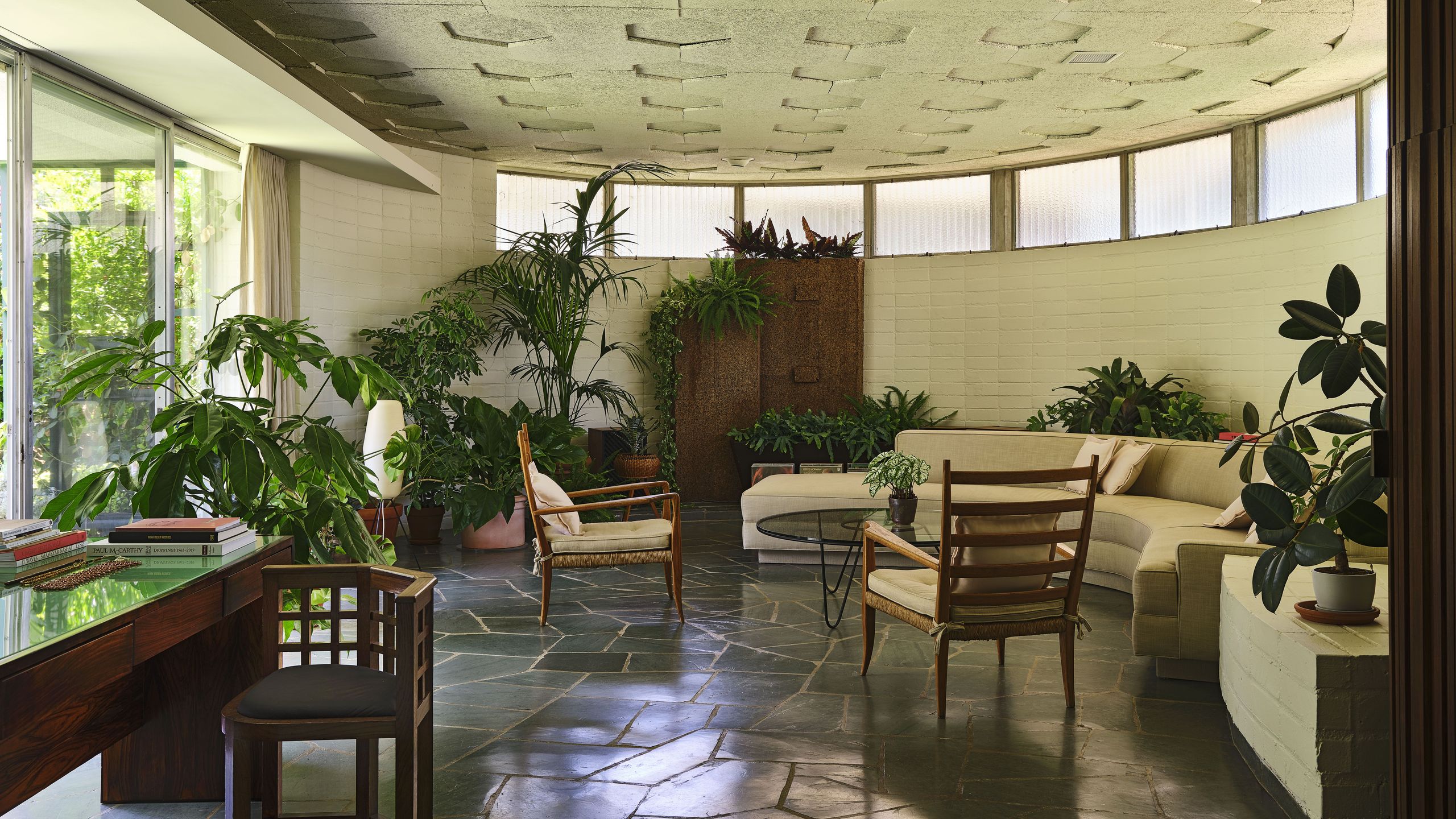 Hűsítő szobanövények a nyári forróságra!