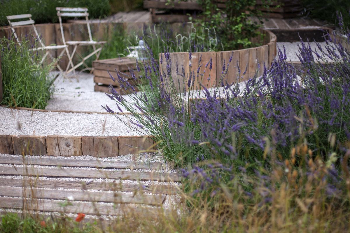 Tuják helyett: 7 rejtett bokoralternatíva, ami beválik!