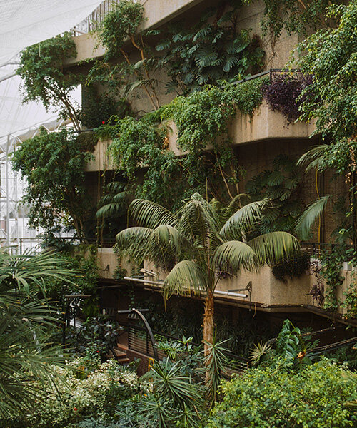 Junglát dokumentál David Altrath a Barbicanban!