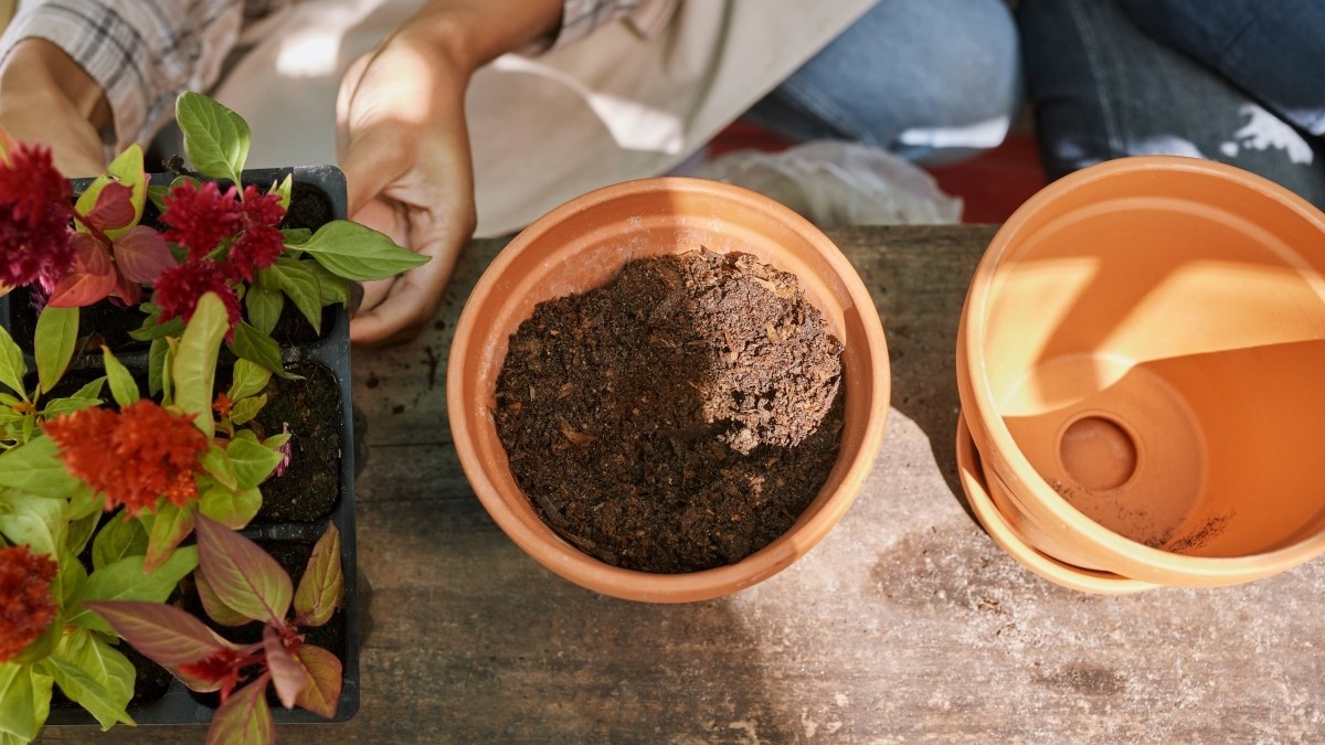 Indukciós főzőlap: Egy módszer, ami tényleg működik!
