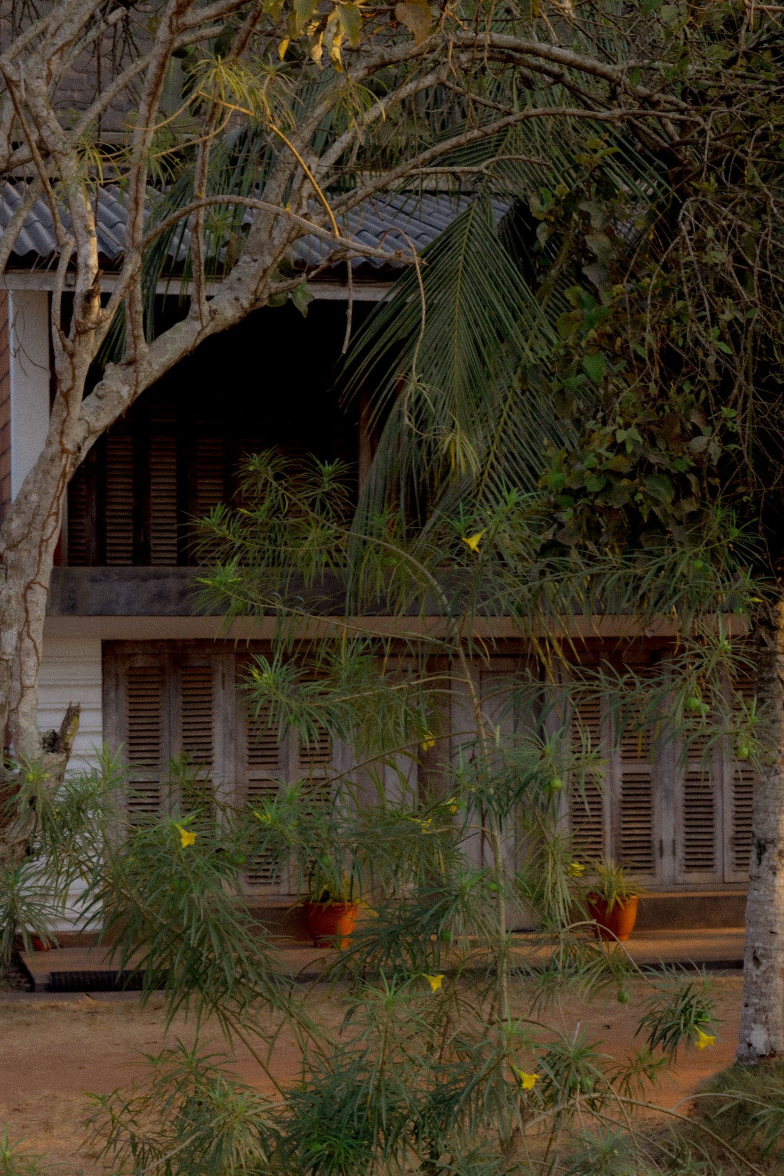 Legendás nigériai építész: saját kezűleg építette otthonát!