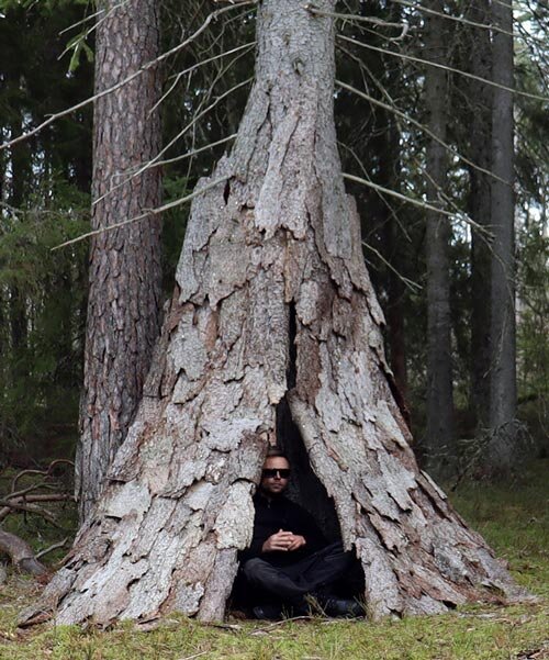 Fenyőkéreg ház: Ulf Mejergren alkotása egy élő fán!