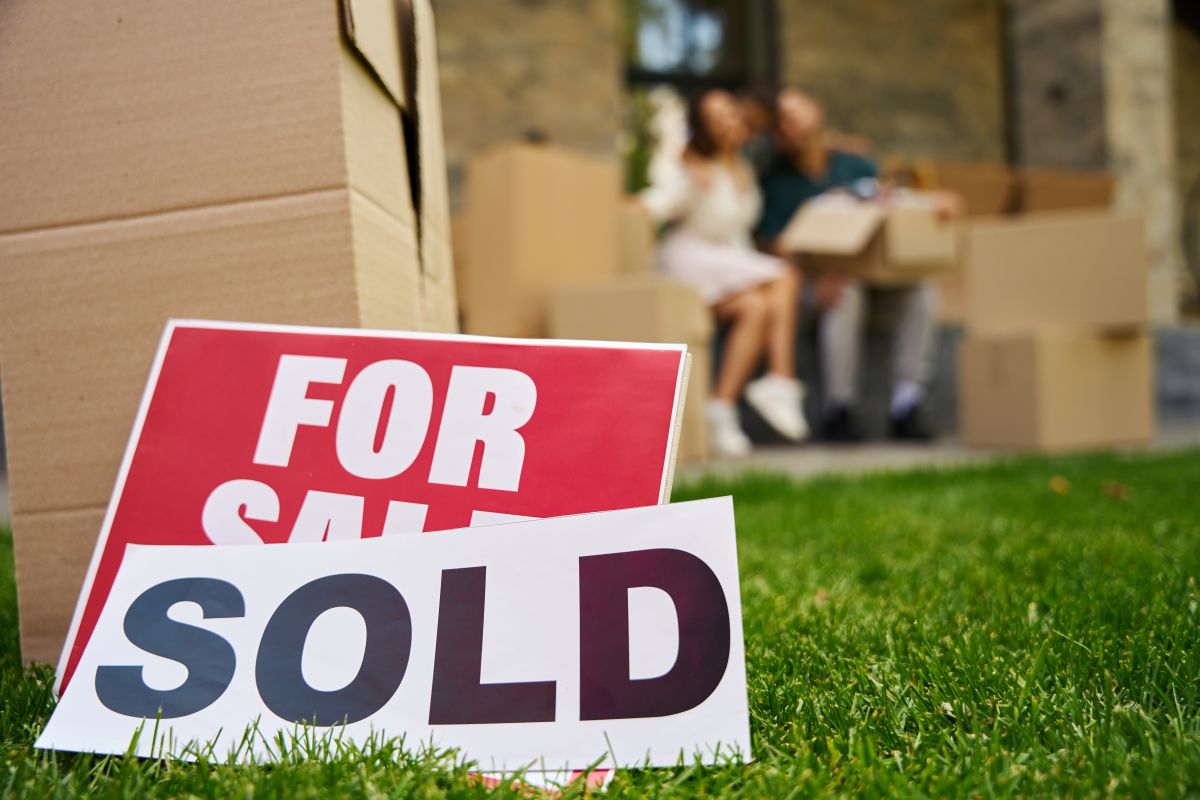 Rovarriasztó növények: 7 hátsó kertből 2026-ra!