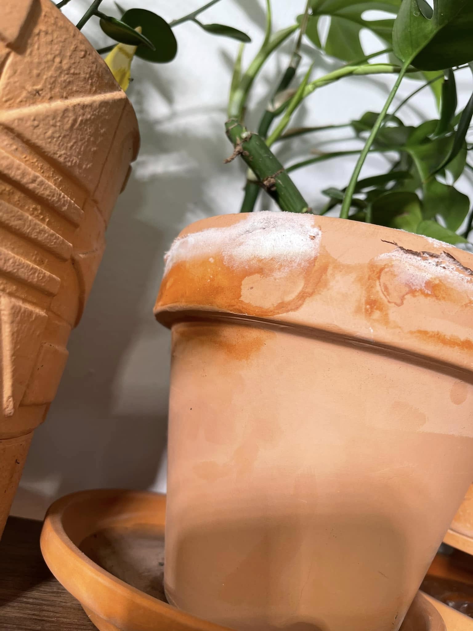 Privát udvar: 15 ötlet 2026-ra, ami átalakítja a teret!