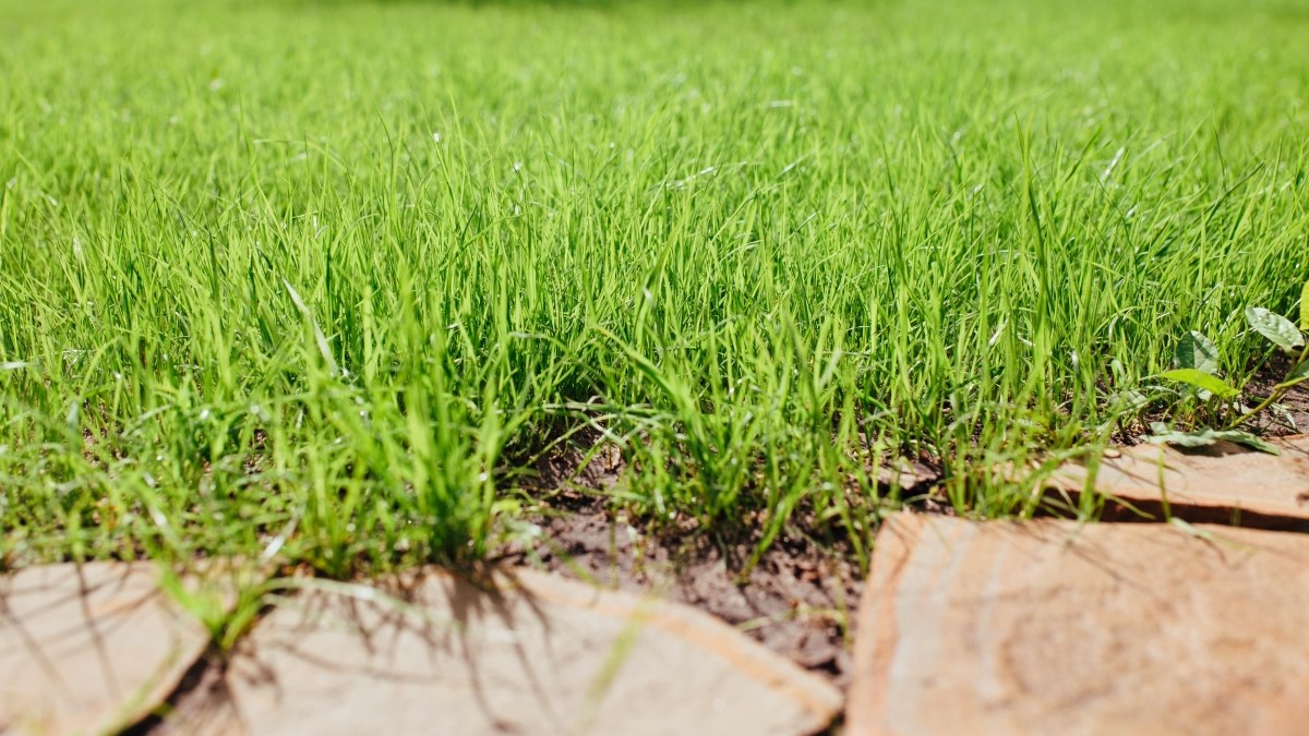 Konyhai frissítések: 10, ami hamar elromlik a napi használatban!
