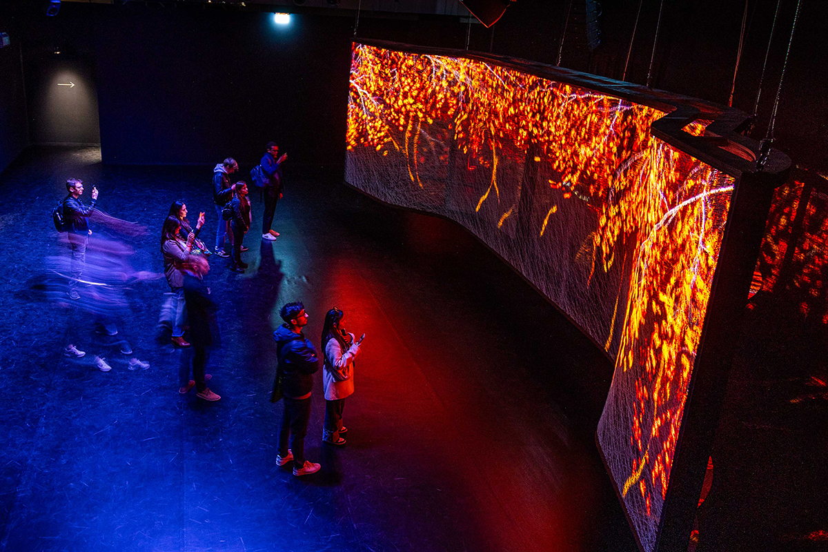 Nagyobb, mint a valóság? Fedezd fel a titkokat!