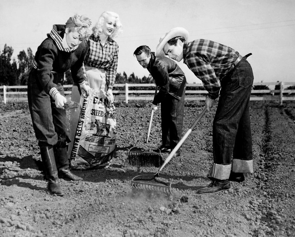 Lucy és Ricky a valóságban: 28 fotó Lucille Ballról és Desi Arnazról otthonukban