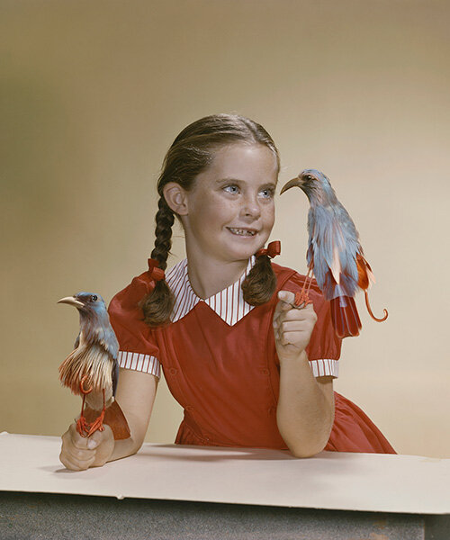 Enciklopédiák hazudnak – Weronika Gęsicka lebuktatja őket!