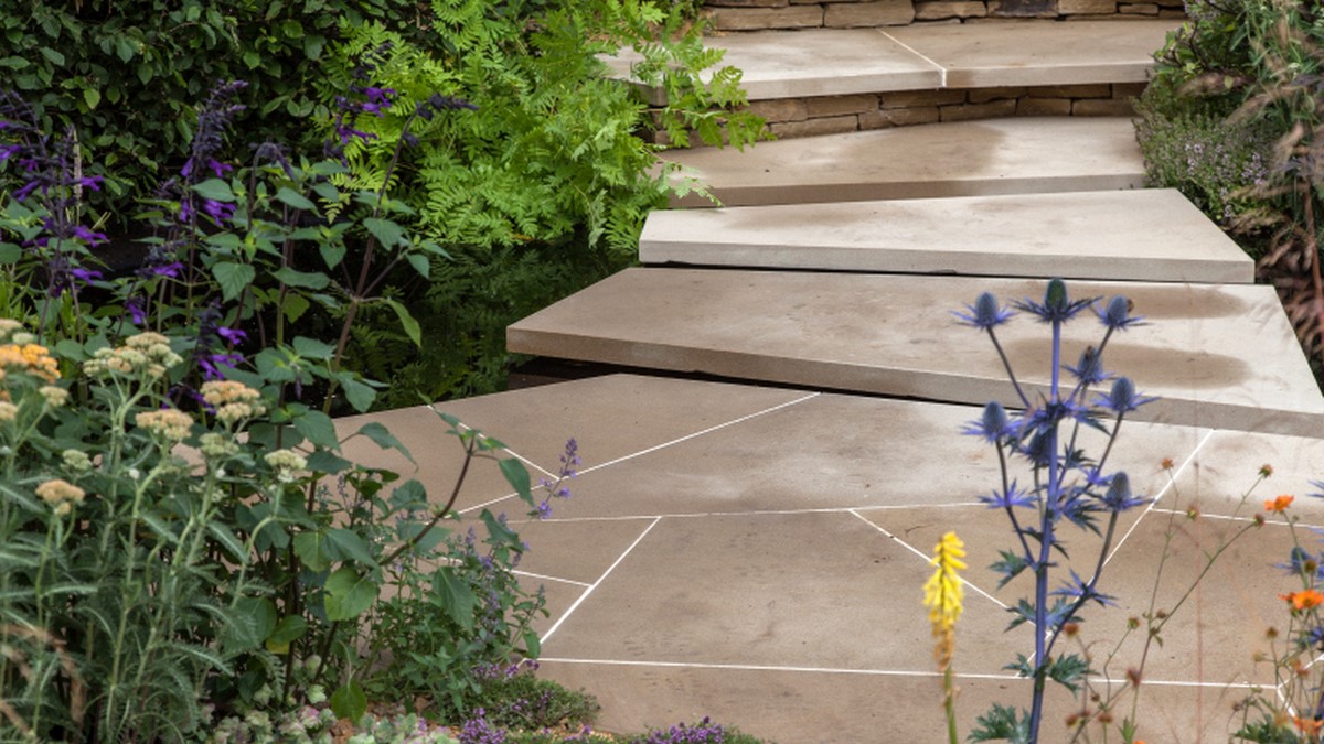 Növény a teraszon: így eltűntek az hangyák!