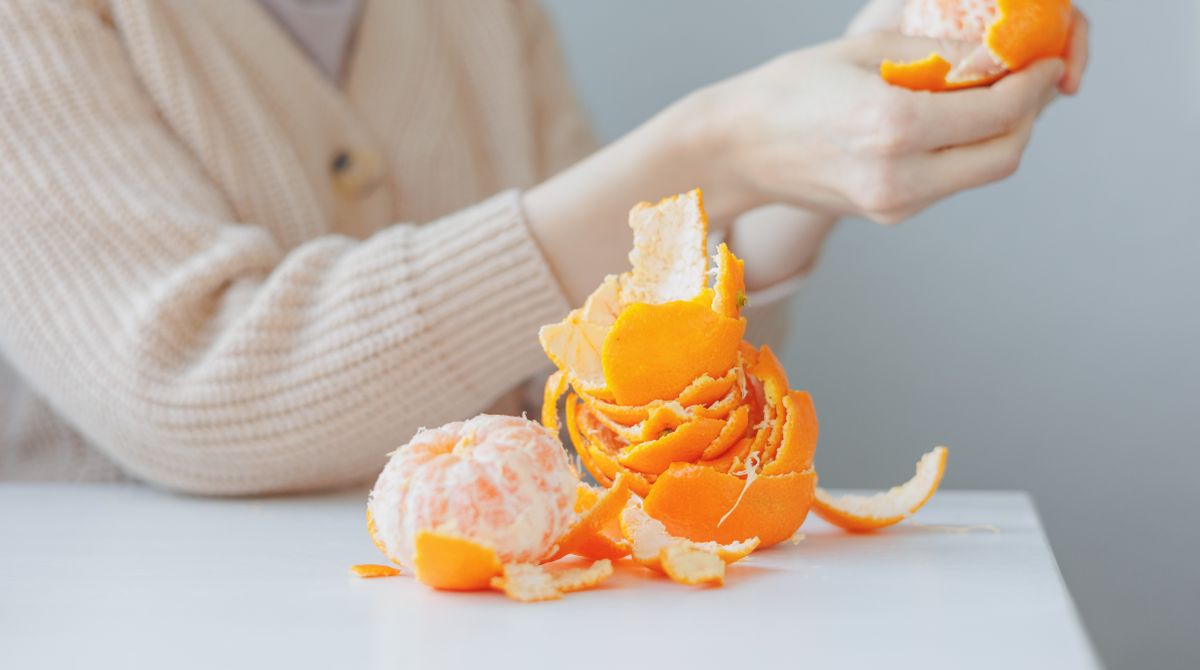 Mosogatóperem törölgetése: Megdöbbentő eredmény egy hét után!