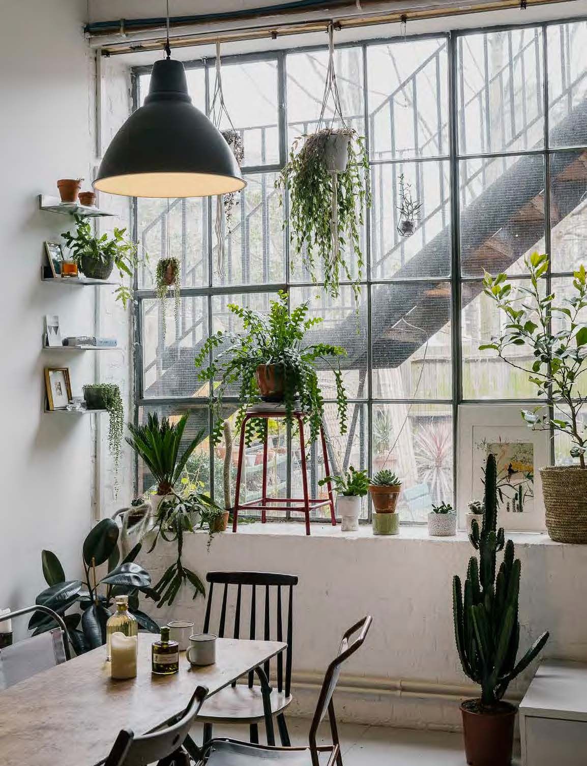 Sikeres pozsgásnövény ültetés – 7 gondozási tipp!