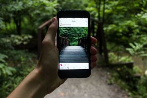 „Mumkins”: Az Instagram legu00fajabb vu00edrusos szenzu00e1ciu00f3ja!