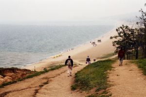 Tengerparti u00e1talakulu00e1s: u00c1lomszu00e9p konyha Martha’s Vineyard ihletu00e9su00e9vel!