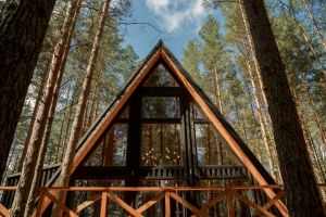 Stunning A-frame cabin surrounded by tall trees in a serene forest. Perfect for nature escapes.