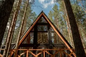Stunning A-frame cabin surrounded by tall trees in a serene forest. Perfect for nature escapes.