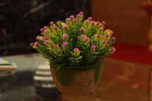 Artificial plant with pink flowers in a textured pot on a glass table, adding a decorative touch.