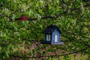 A blue cottage-style birdhouse hanging in a green leafy tree with a red cardinal perched nearby.