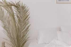 A cozy white bedroom featuring a minimalist style with dried palm leaves as decor against a white wall.
